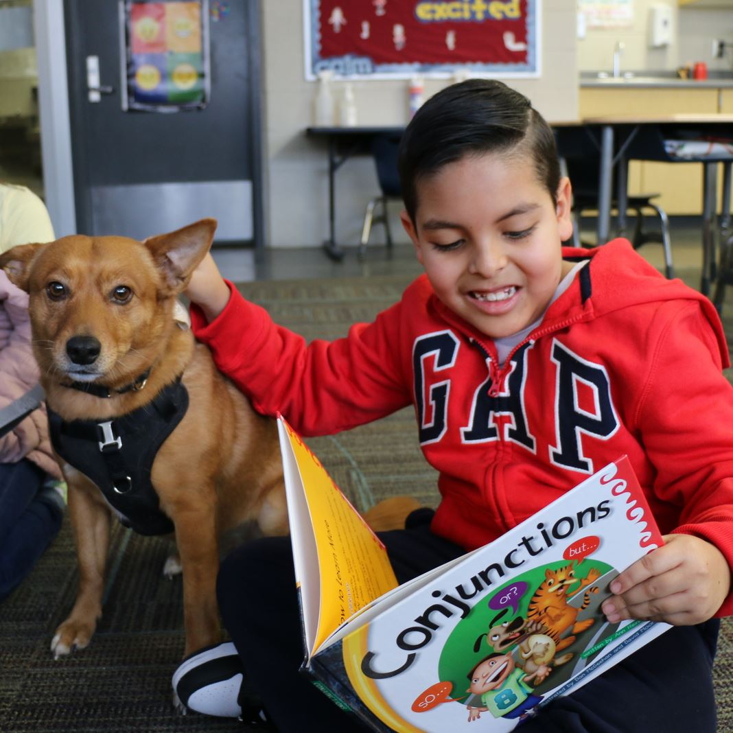  A student reads and pets a therapy dog